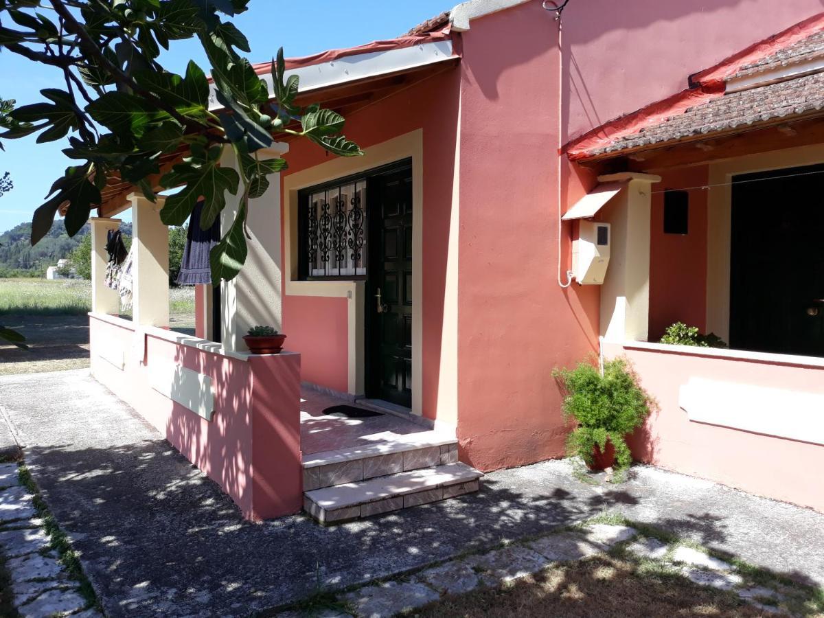Aggeliki Apartments ซีดารี ภายนอก รูปภาพ